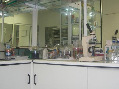 Analticas laboratoriales