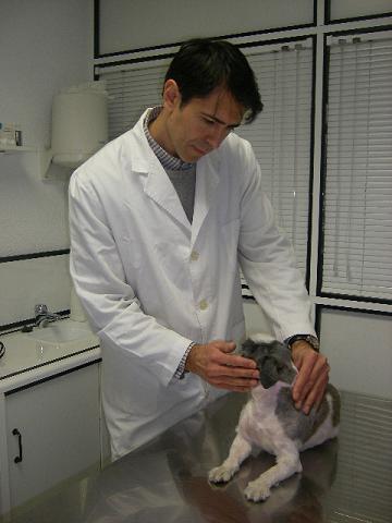 Neurologa